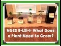 Plant Growth Experiment Analysis