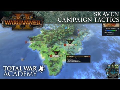 total war warhammer tactics