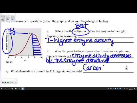 Wgu Biochemistry Study Guide Answers - XpCourse