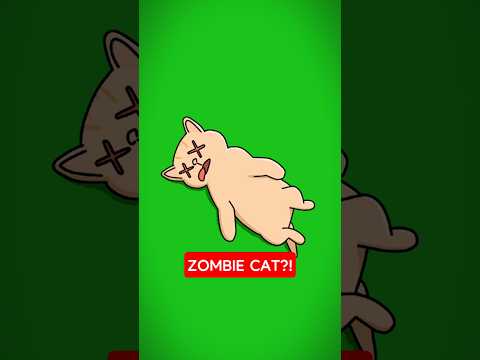 This Cat Came Back to Life?!