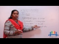 Water Cycle Concepts and Processes
