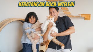 KEDATANGAN BOCIL INTELEJEN