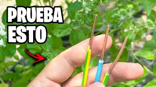 ELECTROCULTURA ¿Ciencia REAL o HUMO? 🌱⚡ Mira Este ANTES y DESPUÉS | La Huerta de Ivan