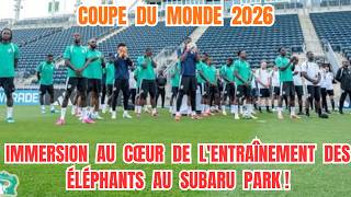 Mondial 2026 : Immersion au Cœur de l'Entraînement des Éléphants au Subaru Park !