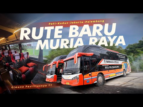 "KEJUTAN BARU!" AKHIRNYA BUKA RUTE MURIA RAYA !! 😍 Trip Pati-Jakarta Naik Rosalia Indah #1