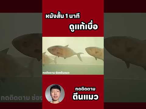 #movie #netflix #ข่าวดารา  #สนุก  #ข่าวเด่น #ตีนแมว #เกม #storytime  #ซีซัน2 อะไรอยู่ในนั้น