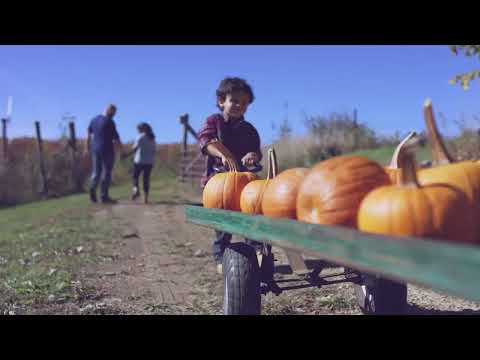 Discover Fall Colors in Pennsylvania