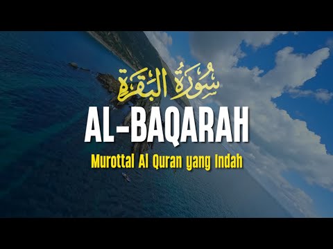 SURAH AL BAQARAH | Setan Kabur dari Rumah | Penenang Hati dan Pikiran