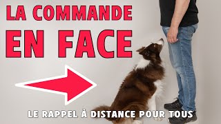 FAIRE REVENIR SON CHIEN EN FACE