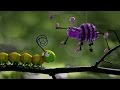 Caterpillar's Shoe Adventure