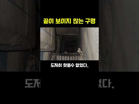 삶과 죽음 사이, 공포의 이틀을 보낸 갓 태어난 아기고양이