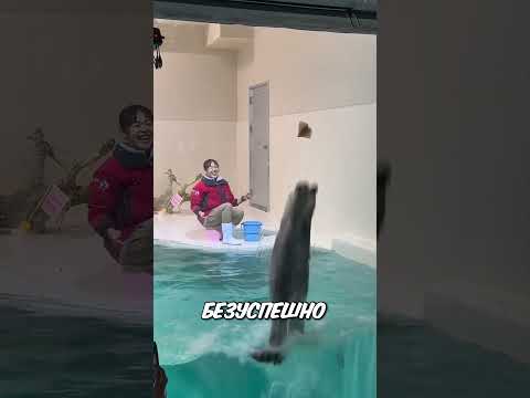 Милая выдра и её маленькое разочарование 🥺🦦