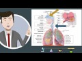 Exploring the Components and Functions of the Respiratory System