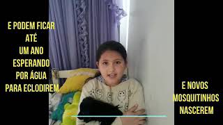 DICAS DE COMBATE À DENGUE 3 - PATRULHA DA DENGUE