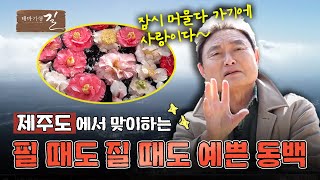 [테마기행 길] 꽃피는 봄이 오면 | MBC경남 240308 방송 다시보기