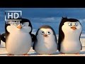 Penguin Adventures and Discoveries