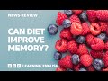 Flavanols and Memory Effects