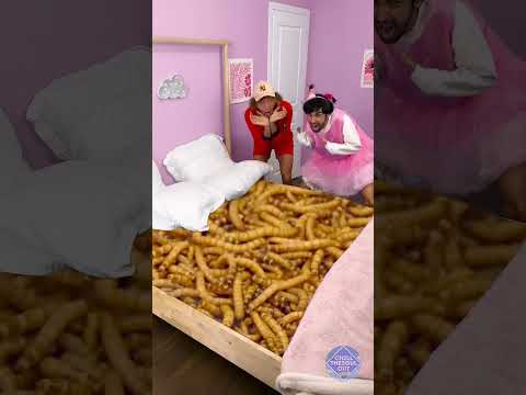 النوم على الحمم البركانية؟ 🤯🔥