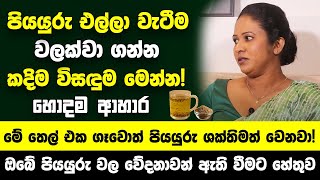 පියයුරු එල්ලා වැටීම වලක්වා ගන්න කදිම විසඳුම මෙන්න! - මේ තෙල් එක ගෑවොත් පියයුරු ශක්තිමත් වෙනවා!
