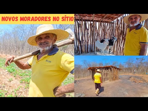 Chegou os Novos Moradores do Sítio Vejam Só que Benção +Plantamos Bananeiras Atrás do Açude