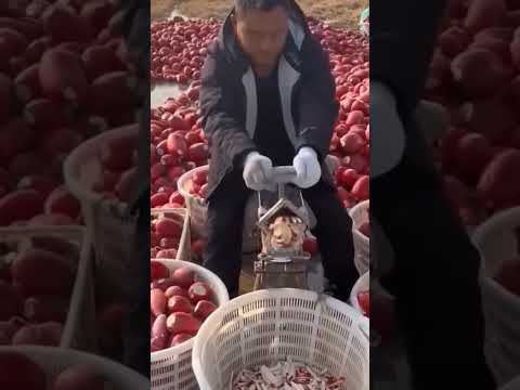 Alat praktis untuk mengiris dan memotong kentang dan ubi jalar dengan mudah