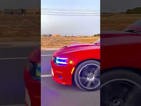 الوحش لامريكي #دوج_تشارجر سكات باك 392 ✈️❌🇺🇸 #hindi #gaming #viralvideo #automobile