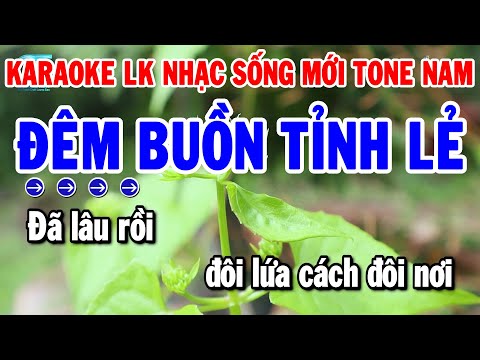 Karaoke Liên Khúc Nhạc Sống Tone Nam Dễ Hát Nhất 2024 | Đêm Buồn Tỉnh Lẻ – Hai Mùa Mưa | Thanh Hải