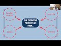 Federalist 70: Executive Power Insights