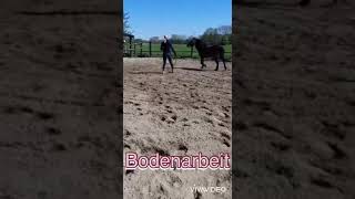 Bodenarbeit mit Berry