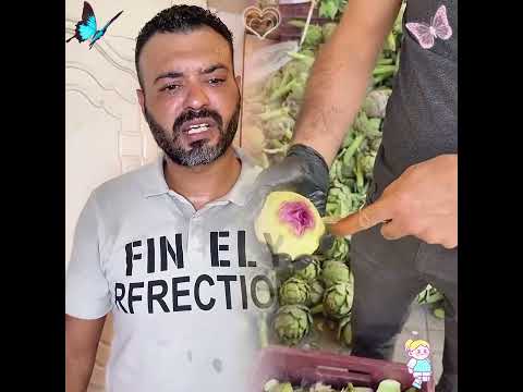 رجو#رامي_موصللي #اسطنبول #مصر #جيفارا_العلي #يوتيوب #اكسبلو😘😘