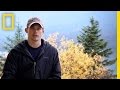 Iditarod and the Seavey Family