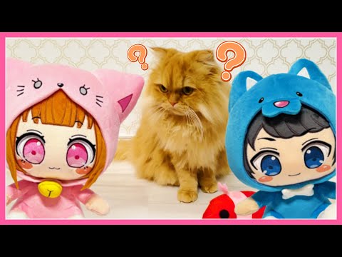 ちろぴののネコちゃんを紹介します！にゃ～！🐈🐈💛
