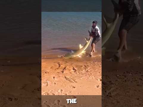 Epic Ocean Rescue! 🌊