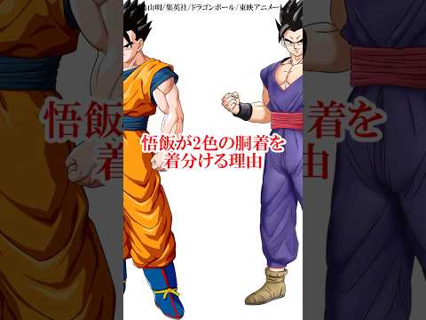 悟飯が2色の胴着を着分ける理由 #ドラゴンボール #悟空 #鳥山明