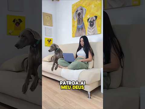 O Dia em que Sonu e Monu Fugiram da Dona #shortvideo