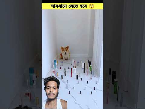 সাবধানে যেতে হবে #shorts #cartoon