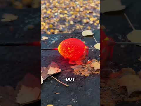 Sparkler Through Egg Science Explained ๐ณ #shorts