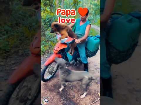 rich of love #subscribe 😢🙏🙏