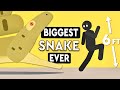 Giant Snakes: Myths, Facts, and History