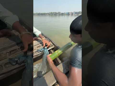 বাঁশের চোঙে বাইন মাছ পেল যুবক