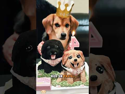 ¿Por qué el perro no se terminó el pastel?#cute #funnyshorts #pets #love