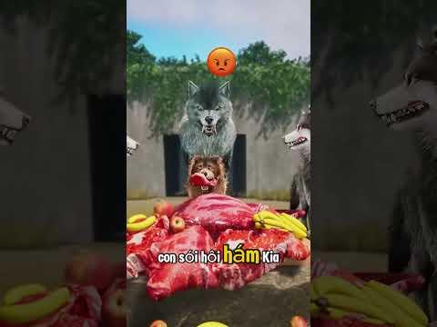 không ai cho con sói tội nghiệp này ăn.