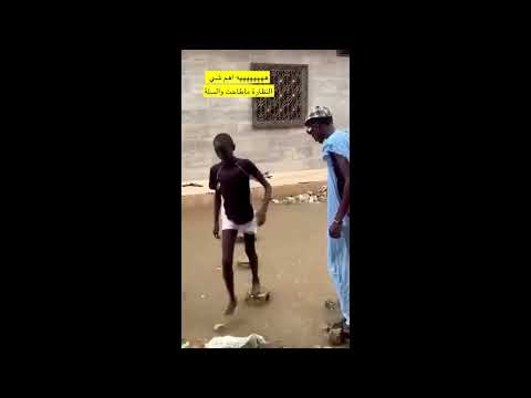Best Funny Videos 2025