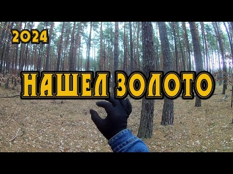 Я в ШОКЕ! Вот оно ЗОЛОТО! Для меня это полная неожиданность! Коп  с прибором Minelab X-Terra Elite!