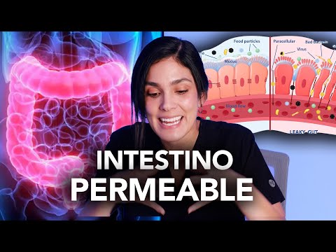 Intestino Permeable -Intestino INFLAMADO | Dra. Jackie