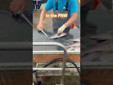 Fastest hands on the west coast #trending #greatpnw #fish #oregon #filet #fyp #shorts #fishfilleting