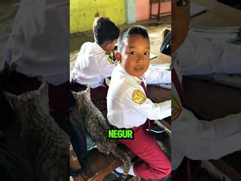 Murid Ini Ketahuan Bawa Kucing ke Sekolah Oleh Gurunya
