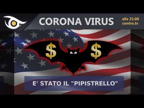 CORONAVIRUS: è stato il "pipistrello"