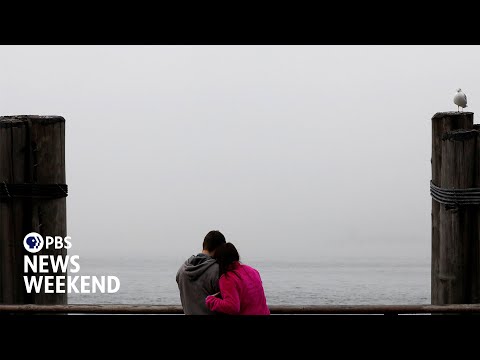 YouTube video thumbnail: What the ‘Bird Theory’ Test may Reveal About Your Relationship