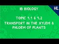 Plant Structure and Function Concepts